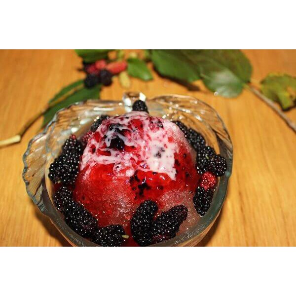 Mứt dâu tằm 500g