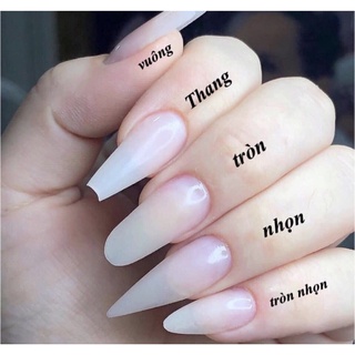Nailbox - thiết kế theo size tay