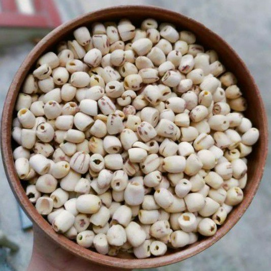 SEN KHÔ NẤU CHÈ