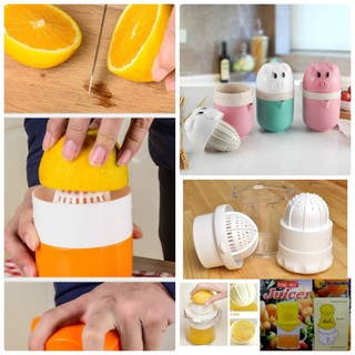 Vắt cam lúa mạch con lợn xinh
