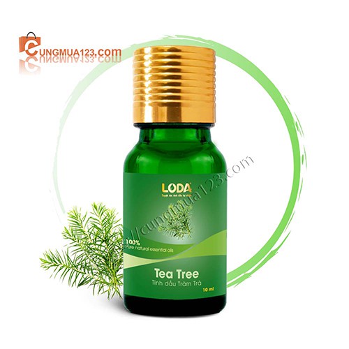 Tinh dầu Tràm Trà – Nguyên chất – Tea Tree Essential Oil