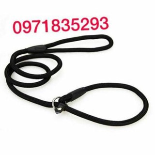 Dây dắt thú cưng