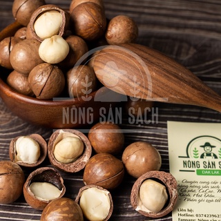 Hạt macca sấy nứt vỏ Daklak - Nông sản sạch Daklak - Túi 500gram
