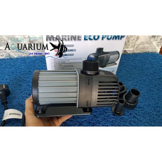 Máy bơm hồ cá Jecod DT 12000