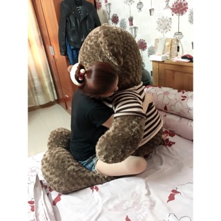 Gấu bông teddy 1m7