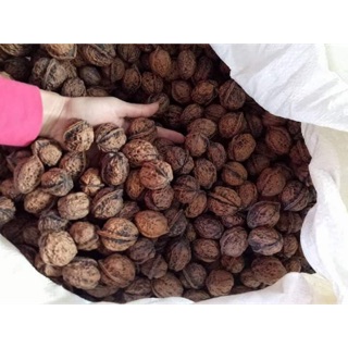 Combo 0.5kg óc chó nhân, 0,5kg hạnh nhân trần, 0,5kg nhân macca giá 575k
