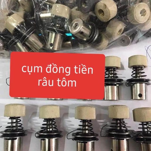 Cụm đồng tiền