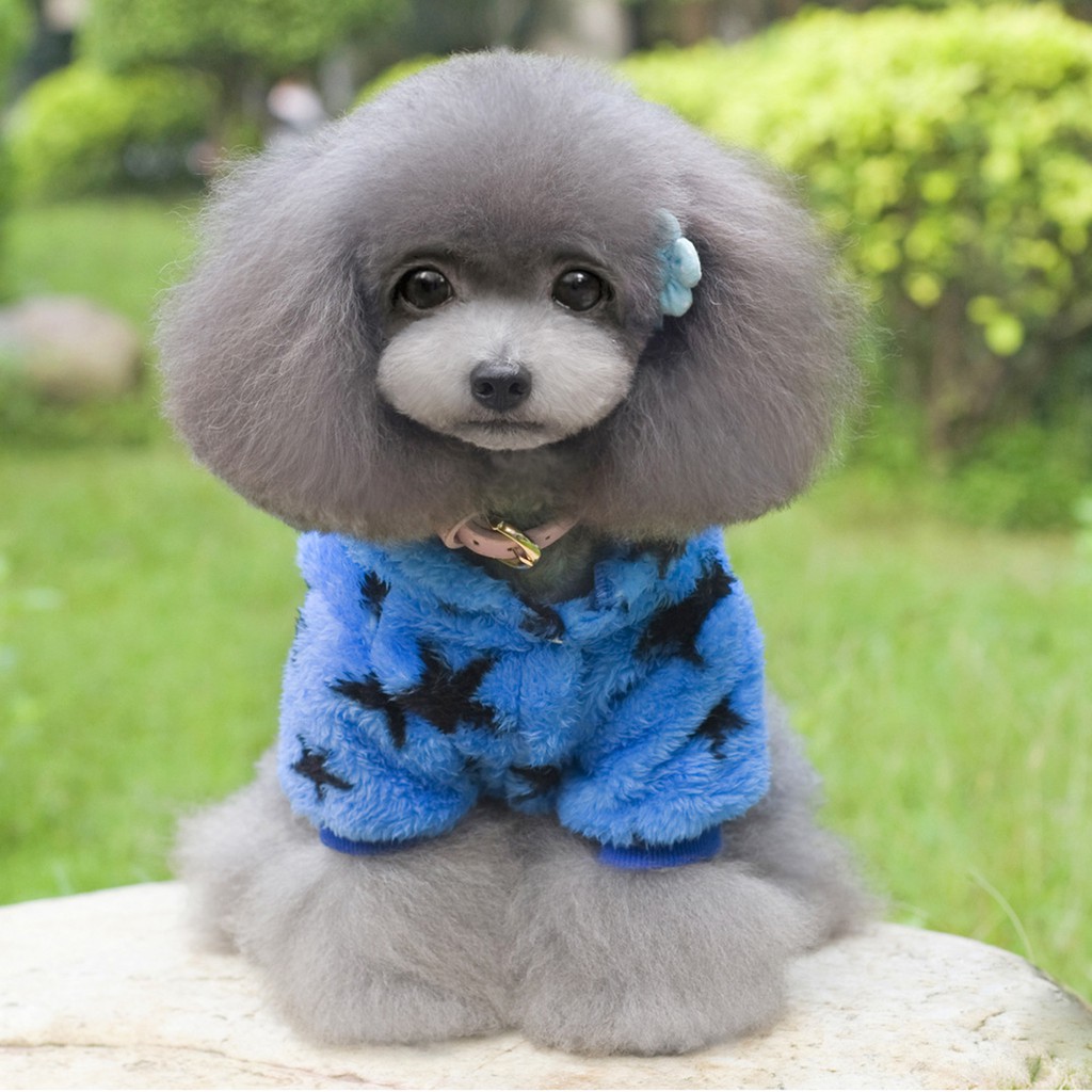 Áo Hoodie In Hình Ngôi Sao Cho Thú Cưng