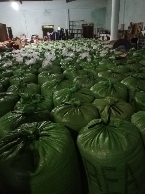 TINH DẦU SACHA INCHI ÉP LẠNH NGUYÊN CHẤT 100%