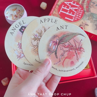 Bộ bài Tea Leaf Fortune Bài Trà Tea Leaf