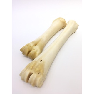 Xương ống bò cho chó