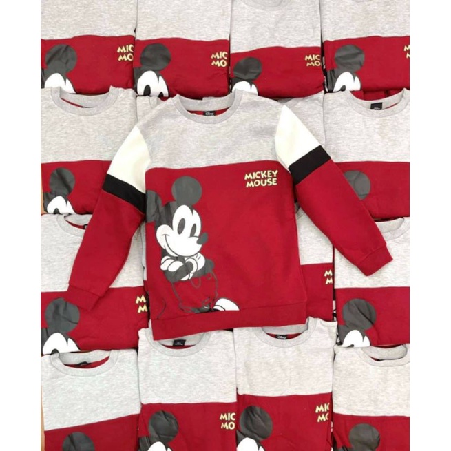 Áo nỉ mickey dư xịn 7/8-14/15 tuổi