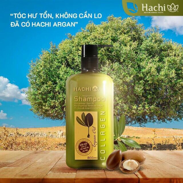 Com bo dầu gội+dầu xả hachi 350ml ngăn ngừa gãy dụng Grapfruit regenratinh shampoo