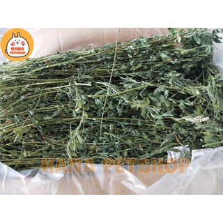 Cỏ Alfalfa 🐹FREESHIP🐹 400 Gram Cỏ Alfalfa Nguyên Cây Thức Ăn Cho Thỏ, Bọ, Chinchillas ...
