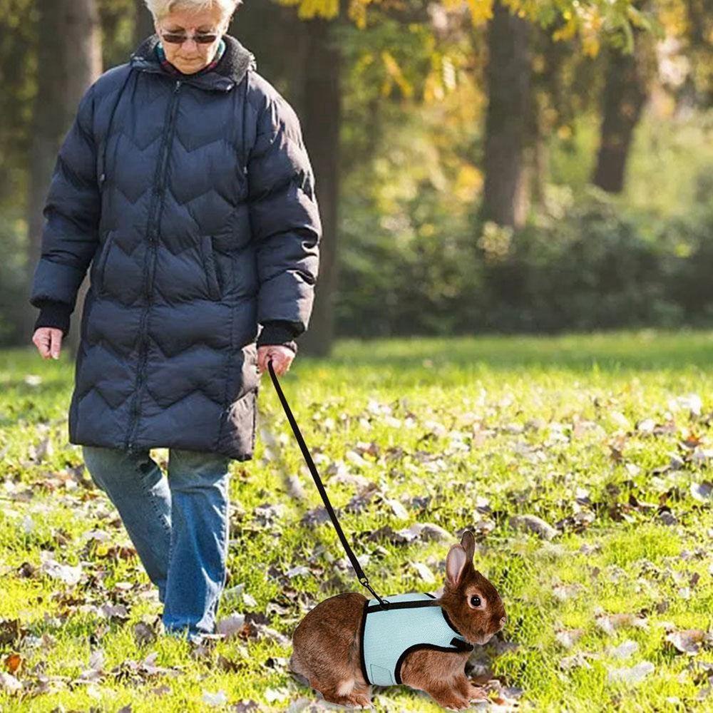 Dây Dắt Thỏ / Heo Guinea / Thỏ Mềm Mại Có Thể Điều Chỉnh