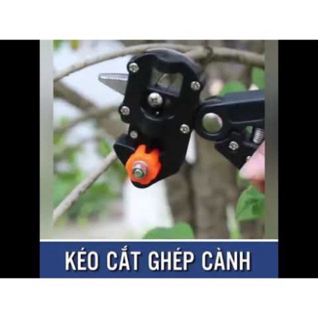 Kéo cắt ghép cây , kéo chiết cành, Kìm cắt chiết mắt ghép cây