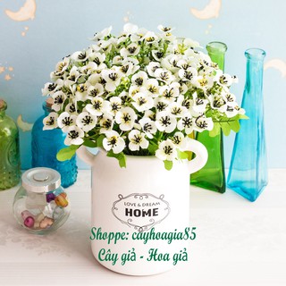 Hoa giả - Cành hoa cánh bướm