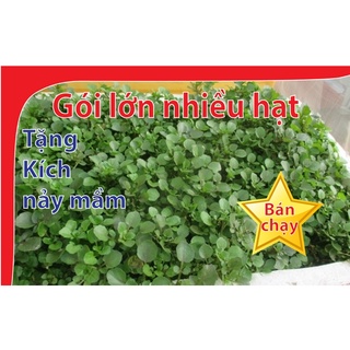 Hạt giống Rau Cải xoong  - Gói lớn nhiều hạt, Tặng gói kích nảy mầm