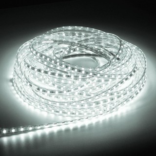 Đèn LED dây 5050 10m