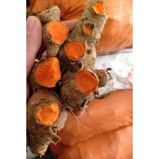 TINH BỘT NGHỆ NẾP NGUYÊN CHẤT 100%( NGHỆ ĐỎ)