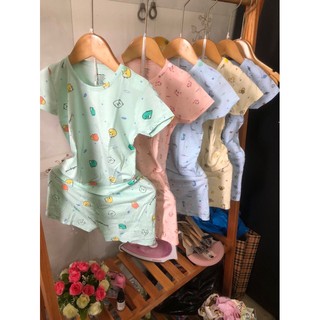 Combo 50 bộ cộc cho bé, bộ cộc thun lạnh, hình thay đôi
