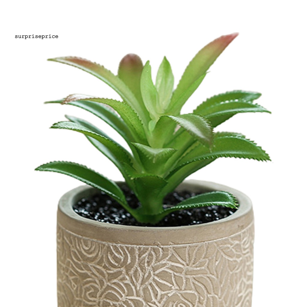 Kệ Để Chậu Cây Bonsai Mini Thân Thiện Với Môi Trường Dùng Trang Trí Bàn Làm Việc