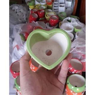 Chậu trồng cây: sứ tim đơn nhỏ