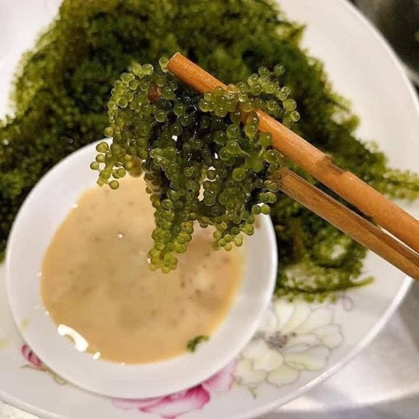 10 Hộp rong nho Sea Việt - hộp 220g