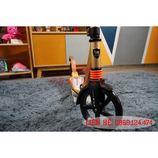 Xe Scooter ALS-A5YA