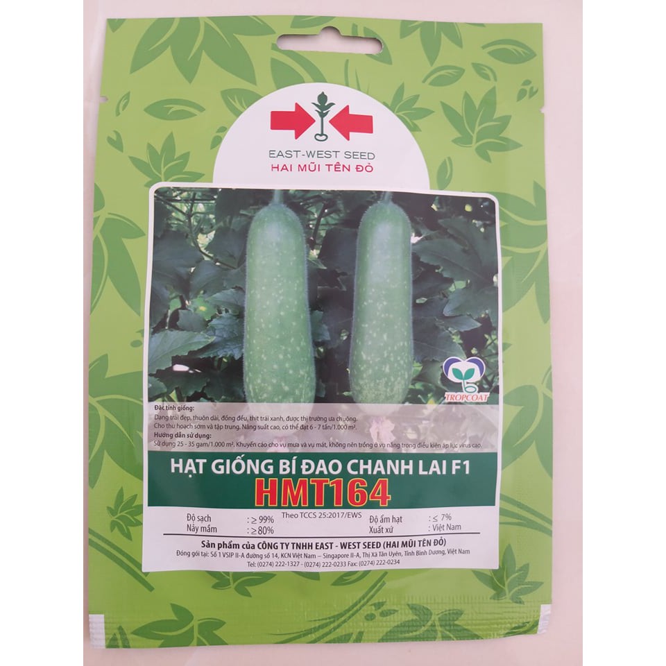 Hạt giống bí đao chanh lai F1 HMT164 Hai Mũi Tên Đỏ