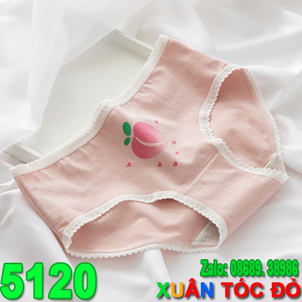  SỈ ZALO RẺ HƠN NHIỀU_ Quần Lót 5 Kiểu Đào Hồng Cực Mịn Cực Cute 5120 | BigBuy360 - bigbuy360.vn