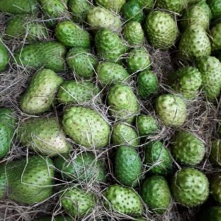 Mãng Cầu Sấy Dẻo