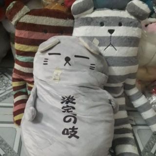 Gấu của pipi nguyễn