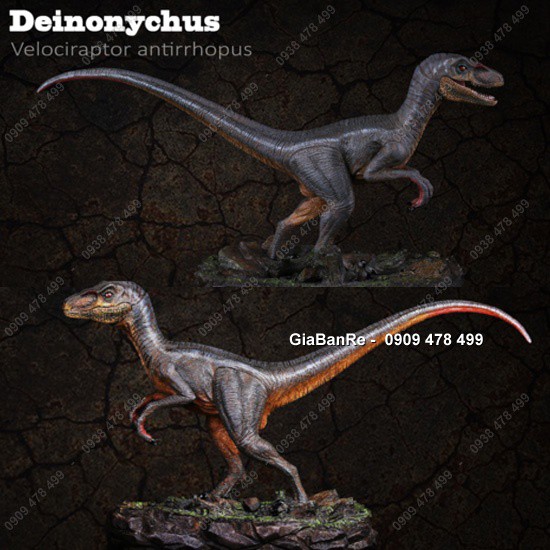 Mô Hình Khủng Long Cao Cấp Veloci Raptor - ITOY- 7739.9