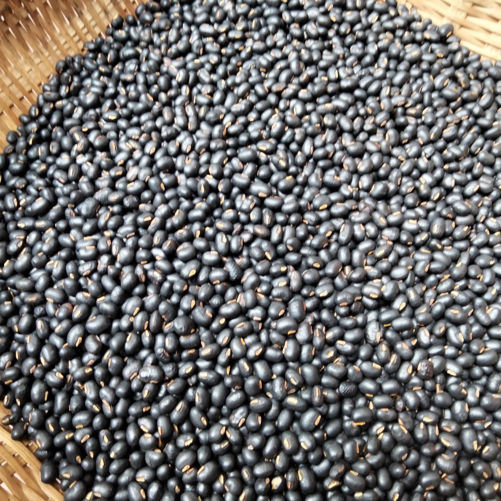 Trà Gạo lứt Đậu đen xanh lòng, Đậu đỏ, Hoa nhài, Lá dứa - Rang tay sẵn ❤️SIÊU THƠM❤️