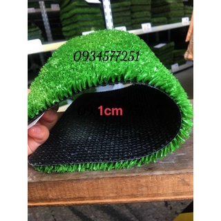 Cỏ nhân tạo 1cm trang trí