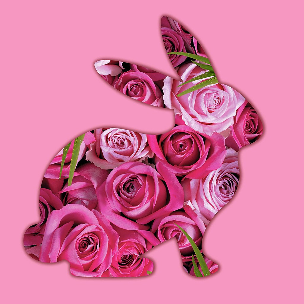 Sữa Tắm Dưỡng Da St.Ives Hoa Hồng và Lô Hội - Rose Water and Aloe Vera Body Wash 650ml