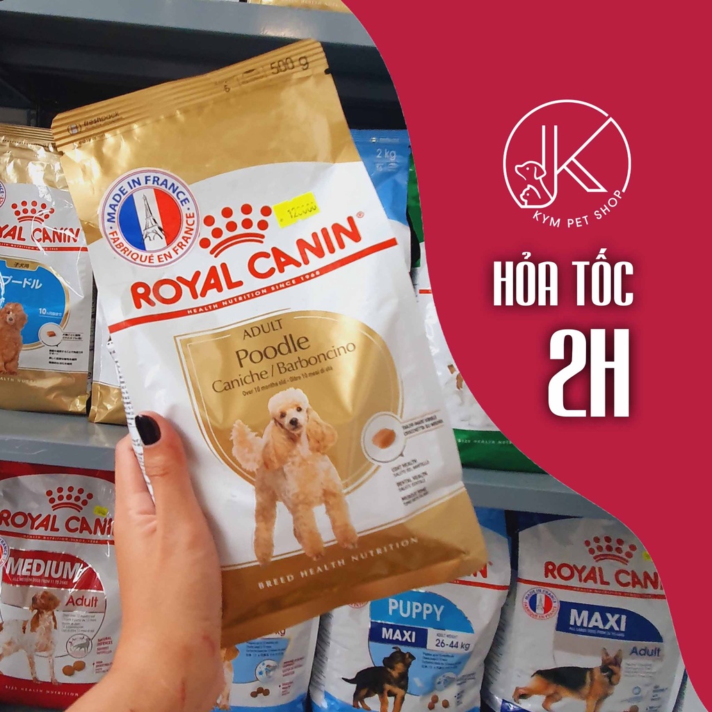 ROYAL CANIN POODLE - Thức ăn hạt khô dành riêng cho giống chó Poodle