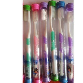 Sỉ bàn chải đánh răng có hộp 210 SUREE