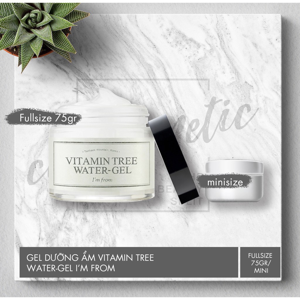  (Chỉ Bán Mẫu Thử ) Gel dưỡng ẩm I’m from Vitamin Tree Water gel 75g