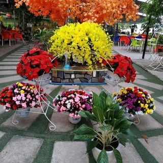 Bó 10 Cành Hoa Lan Vũ Nữ Giả Hoa Lụa