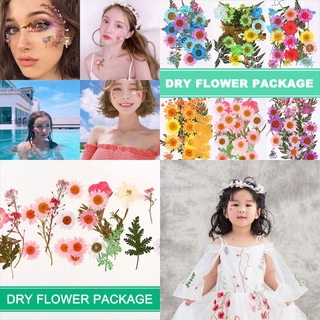 VN Hoa Ép Khô Dùng Trang Trí Diy