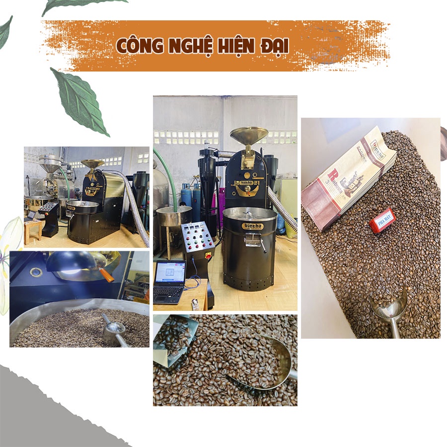 Cà Phê hạt rang robusta S18 rang mộc nguyên chất