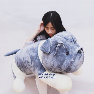Gấu bông Chó nhăn cao cấp màu xám - Size 1M