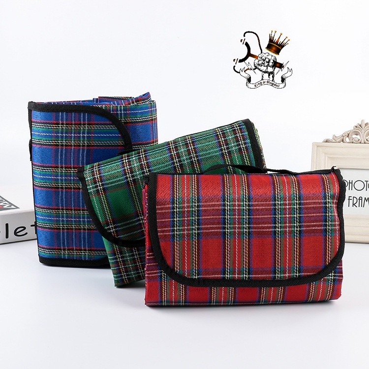 Thảm du lịch, dã ngoại chống thấm tốt - Bạt trải đi phượt, cắm trại gấp nhỏ gọn đa năng [DCP1]