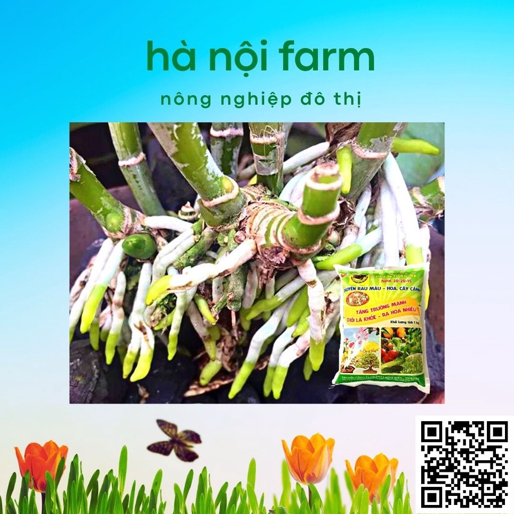 Phân bón đầu trâu 20-20-15, dùng cho rau màu, hoa kiểng gói 1kg