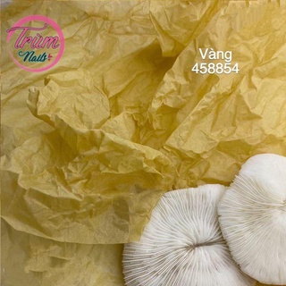 Giấy nhăn làm background chụp ảnh