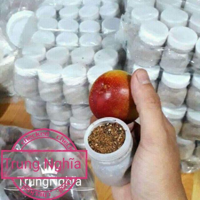 [1hủ] Muối Tiêu Lốp Trung Nghĩa