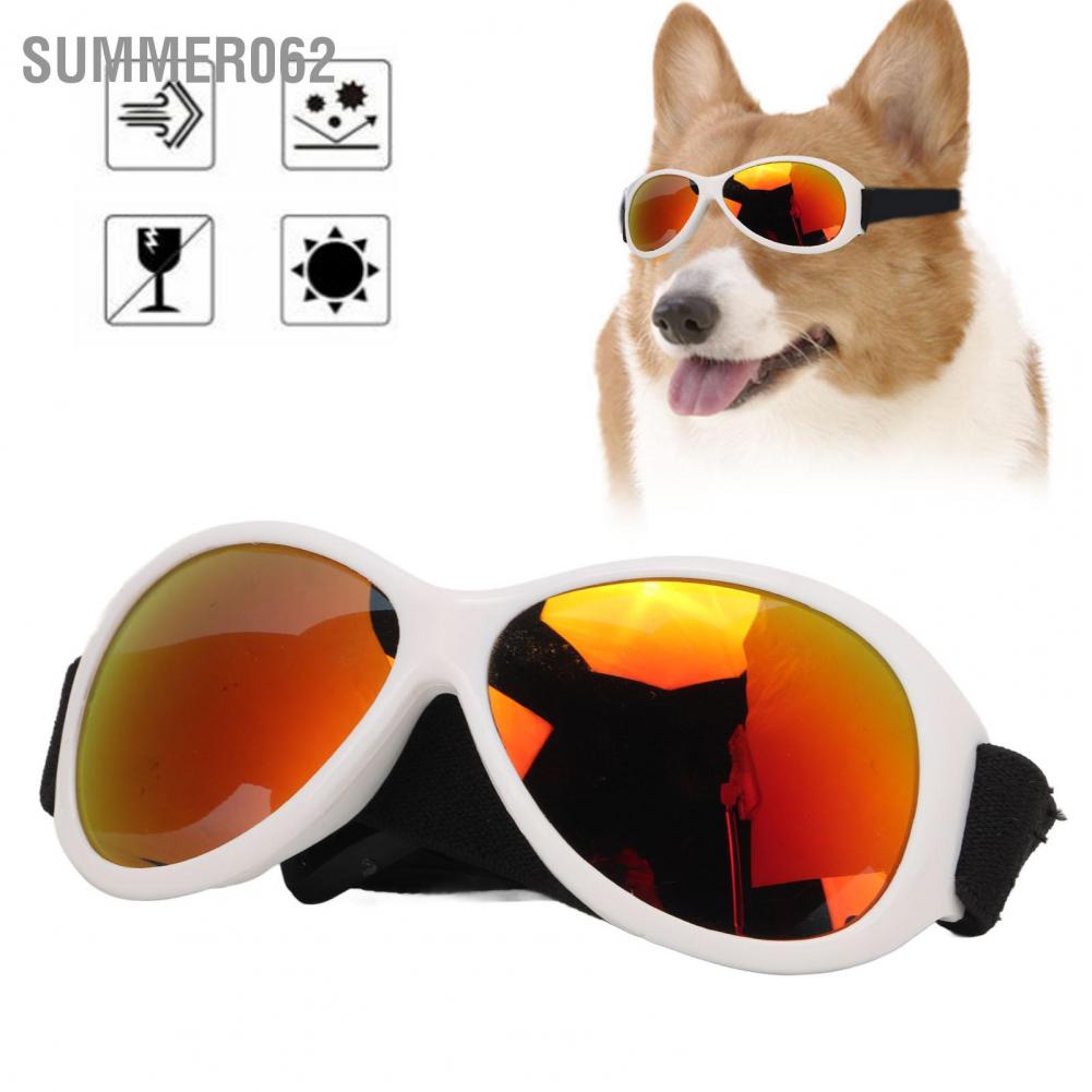 Kính mát chống gió bảo vệ mắt có dây điều chỉnh được cho thú cưng