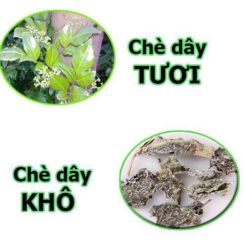 [LOẠI I] Trà dây (còn gọi là Chè dây) rừng khô SaPa, sạch, nguyên chất nhiều lá, CAM KẾT chất lượng